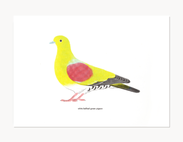 アオバト, リソグラフ印刷, 2023