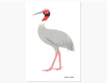 シロエリオオヅル, リソグラフ印刷, 2023