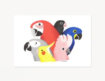オウムとインコの仲間, リソグラフ印刷, 2025